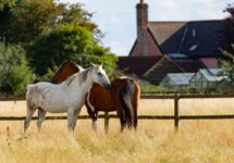 2026年　大波乱から始まる年